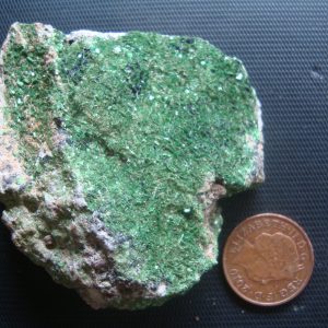 Atacamite?? Conichalcite?